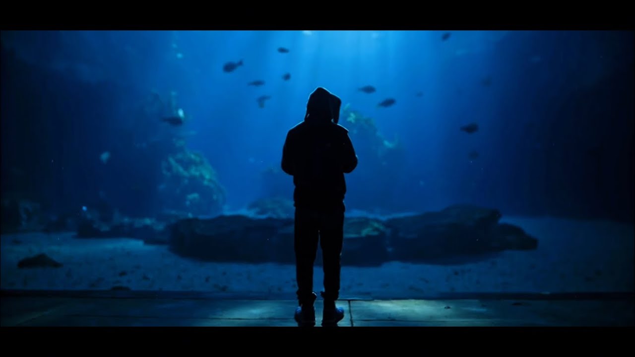 DROP OUT - I Can Sea (Official Ai Visualizer)