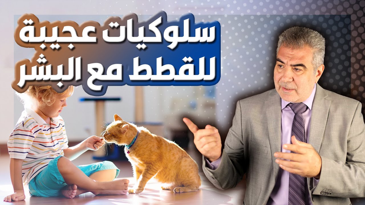 عالم القطط العجيب.. عادات لا تصدق للقطط مع البشر!