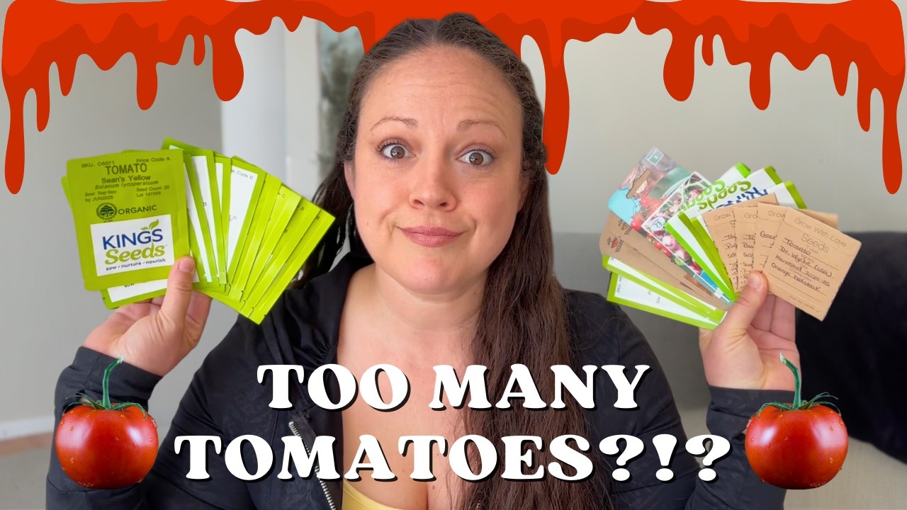 My Tomato Dilemma | Too Many Varieties, Not Enough Space!