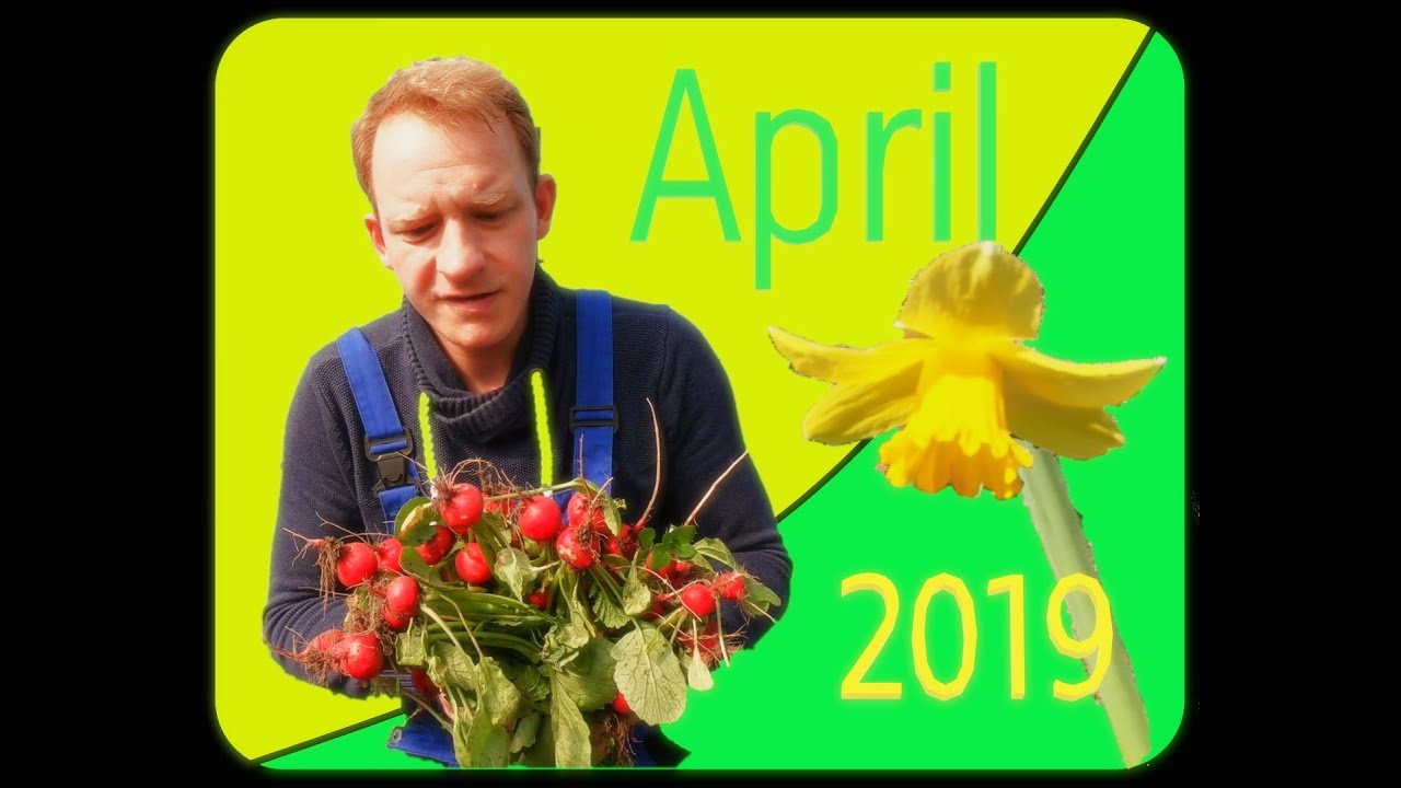 Garten im April ernten Spinat | Feldsalat |Radieschen | Pastinaken u. Erbsen s&auml;en
