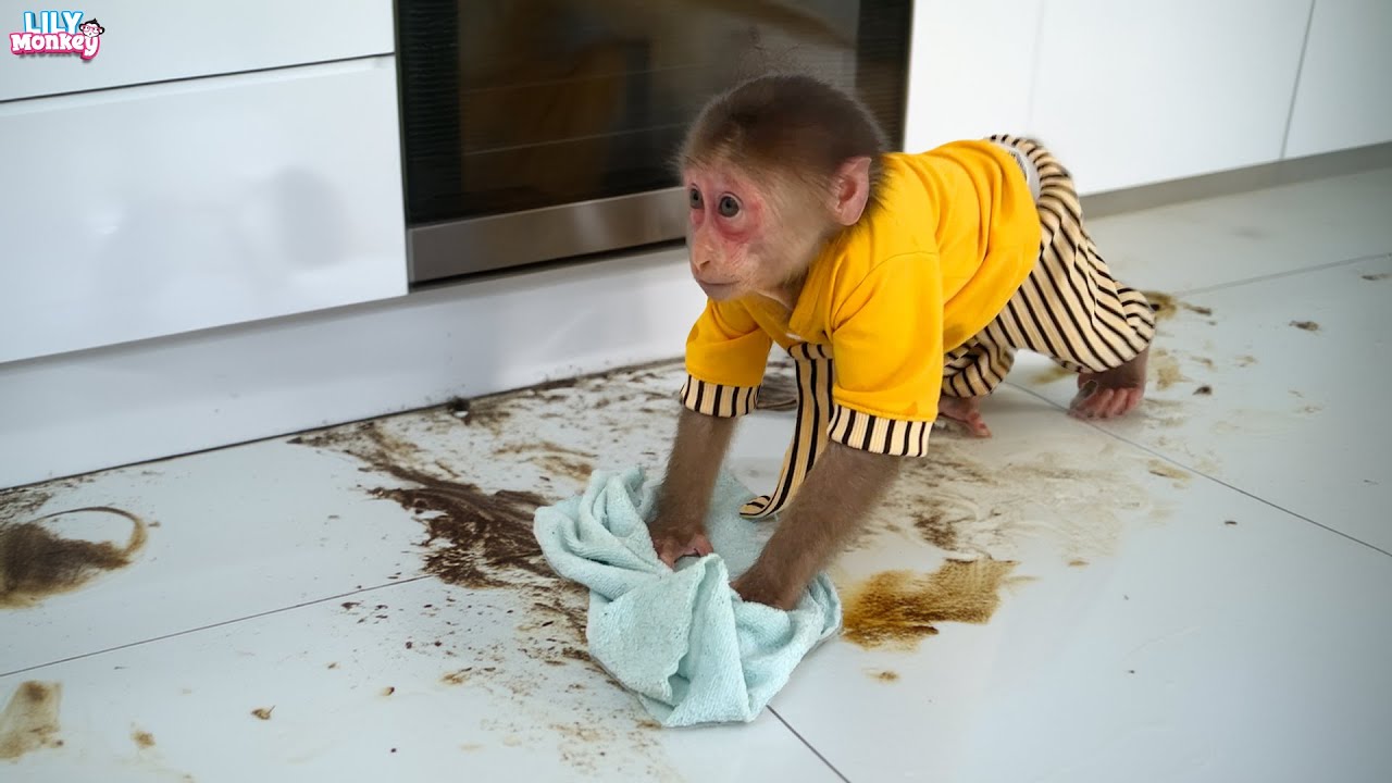 OMG!!! Smart Lily knows how to clean the house when her dad is away
