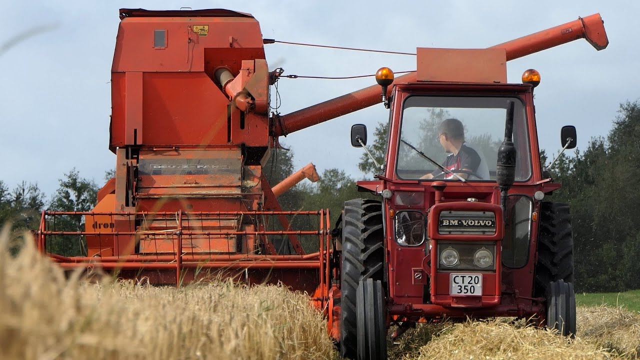 Volvo BM 430 harvesting barley w/ Deutz-Fahr M66TS | Danish Agriculture