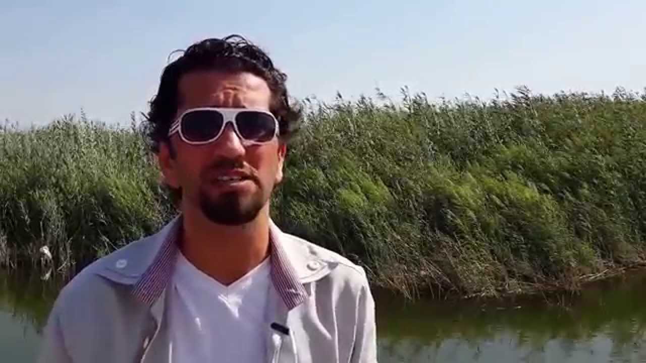 هور الدلمج في الديوانية يشكو الاهمال الحكومي