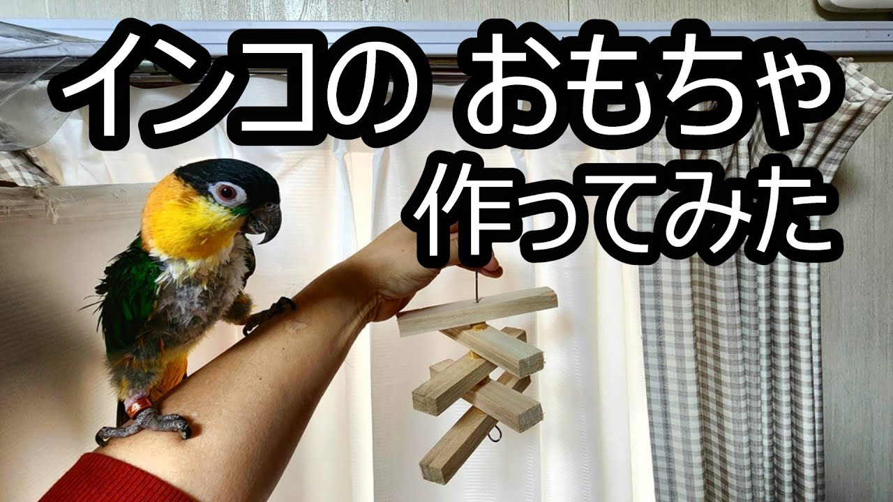 【すぐ出来る】インコのおもちゃ 作ってみた