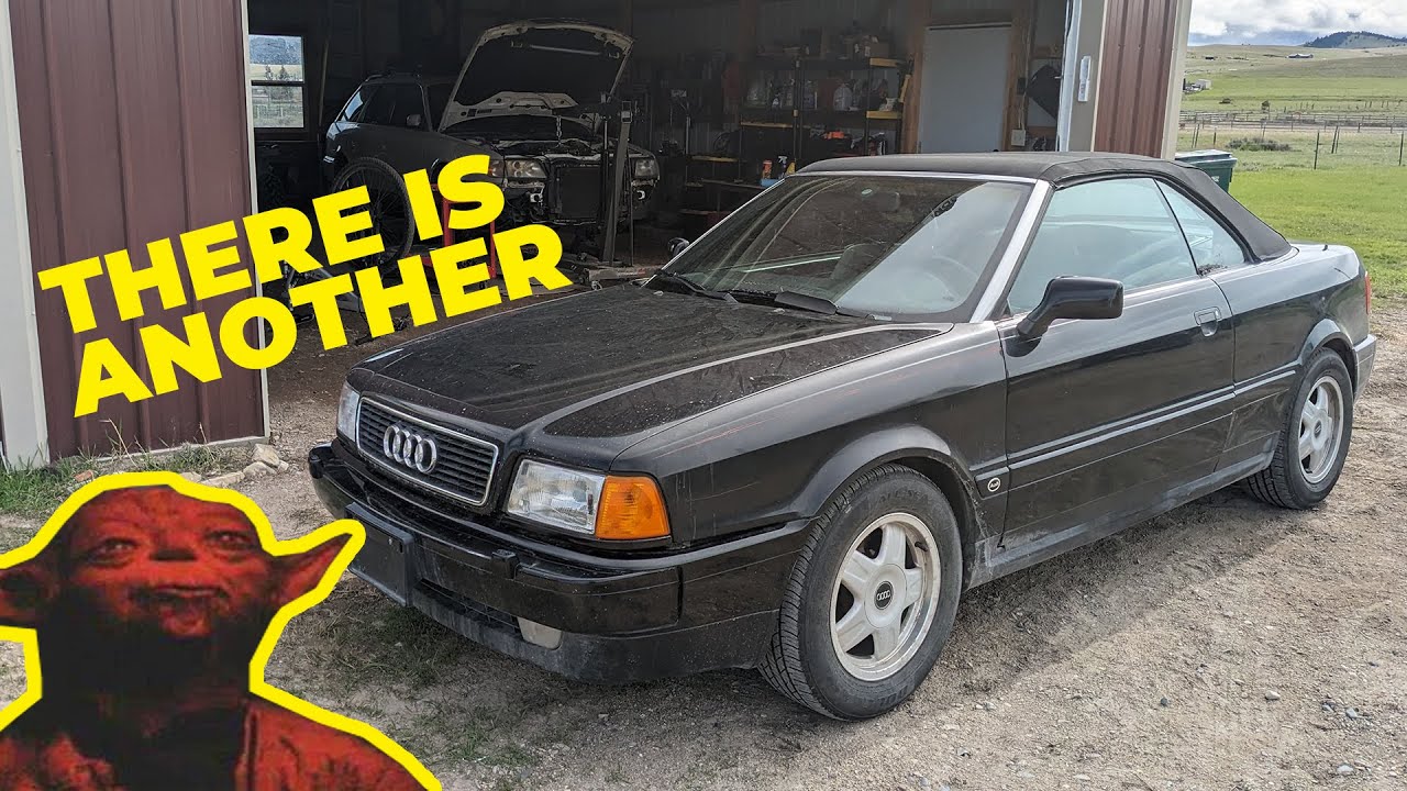 HELP! I bought ANOTHER OLD AUDI...