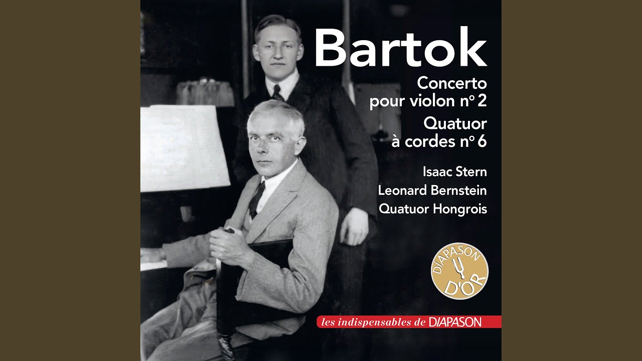 Violin Concerto No. 2, Sz. 112, BB 117: I. Allegro non troppo