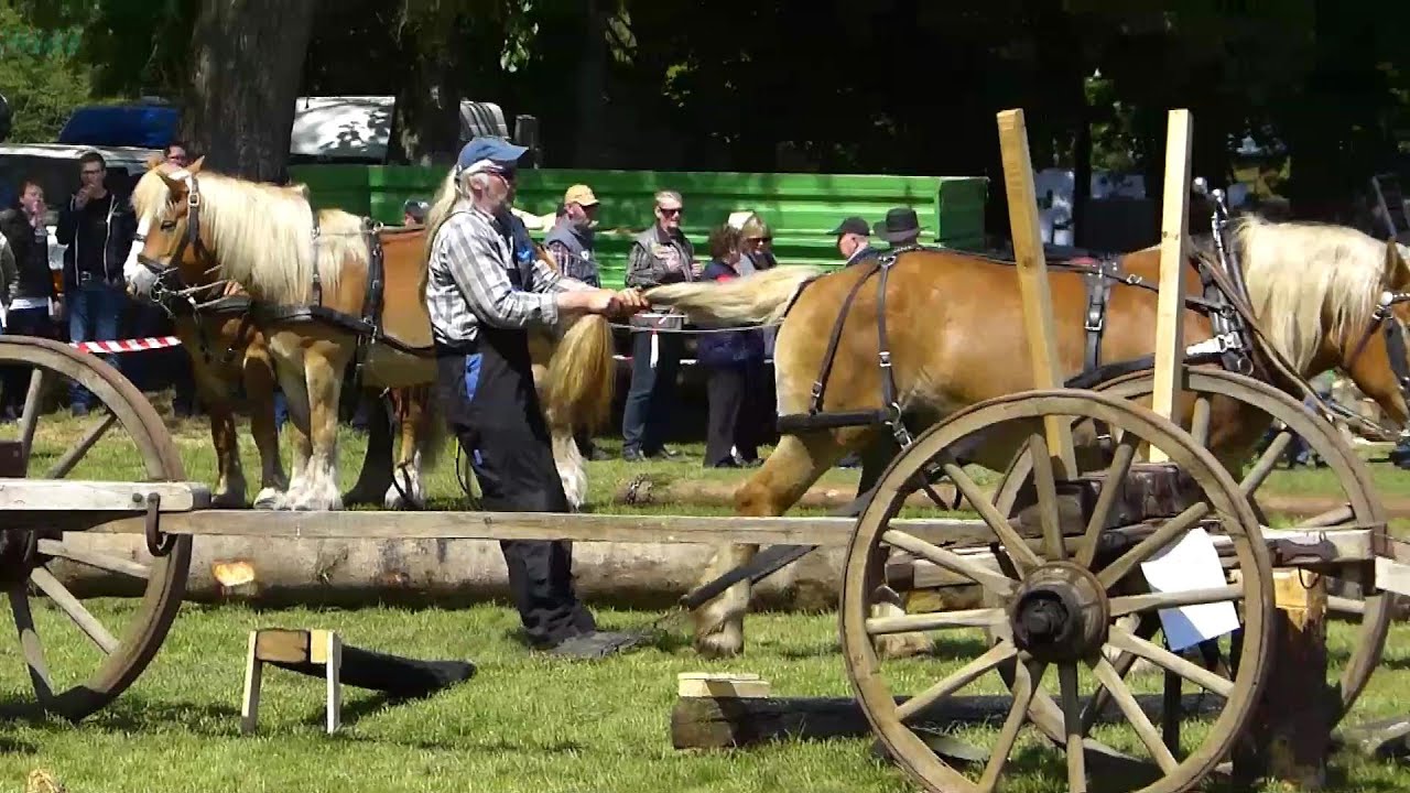Historische Landtechnik 2015 - Glandorf - Osnabrücker Land