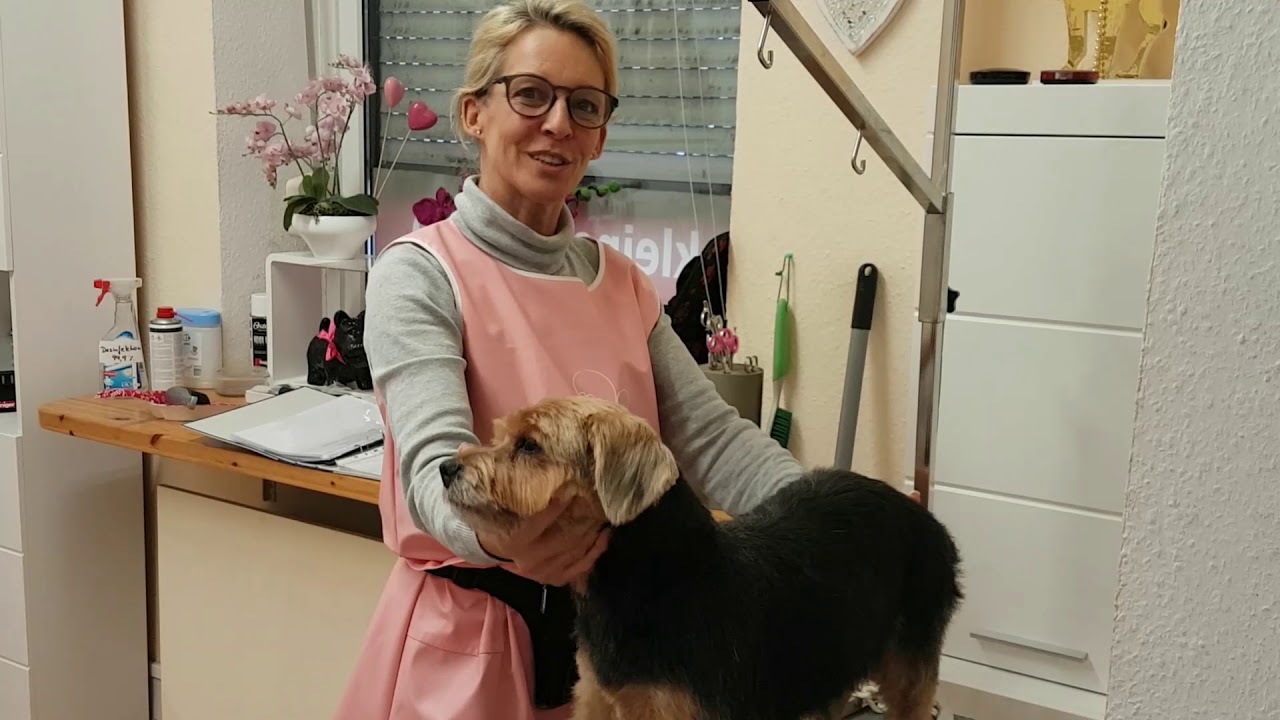 Grundausbildung zum Hundefriseur im Hundesalon Lilly Köln_ SabineUellenberg