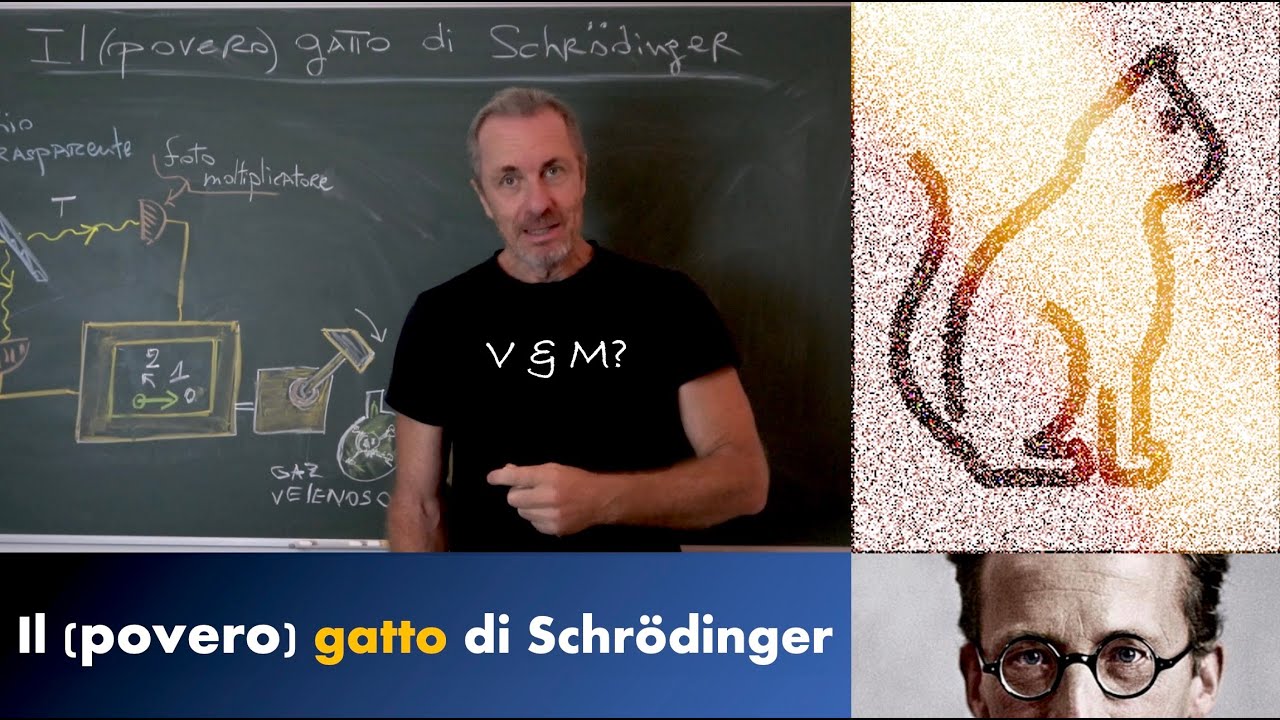 Il (povero) gatto di Schrödinger (36)