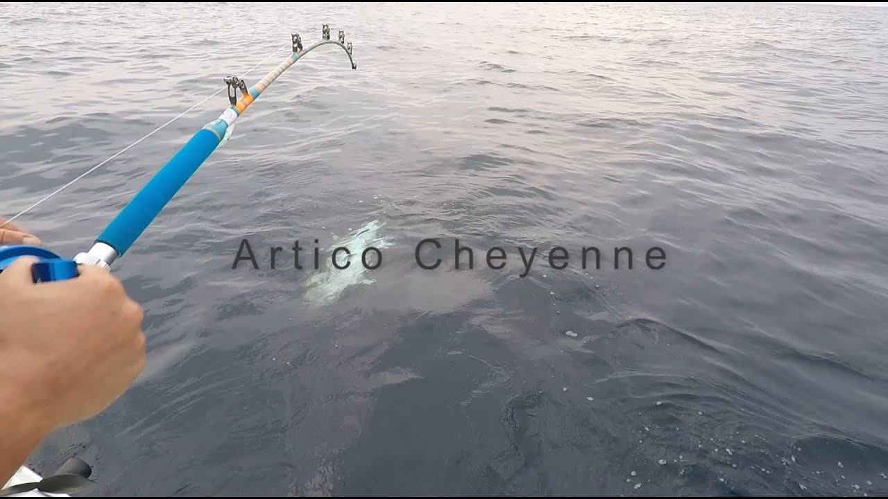 Il Team Fish 42 presenta Artico Cheyenne.
