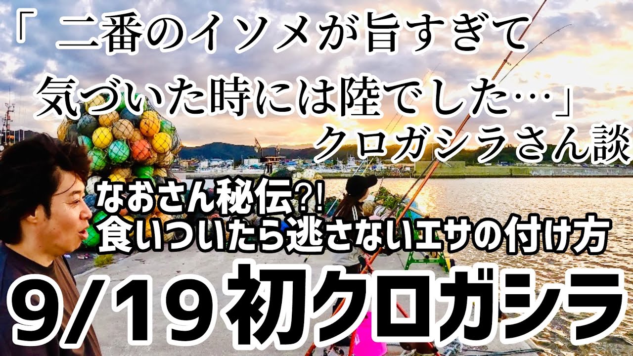【北海道釣り】9/19最速⁈クロガシラ開幕！！！　食いつき抜群エサの付け方講座も♪