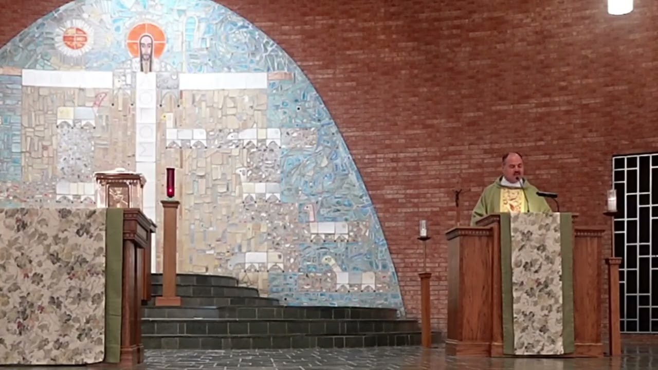 Weekend Homily - Sixth Sunday in Ordinary TIme