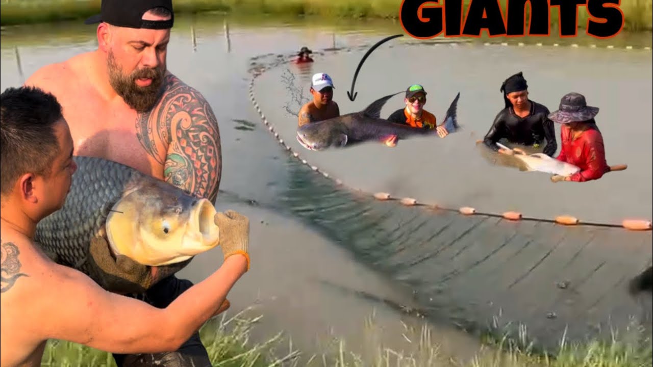 THESE MONSTER FISH CAN GET TO THE SIZE OF A CAR! Biggest fish farm I’ve seen