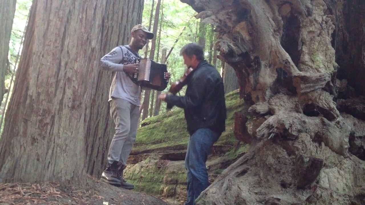 Cedric Watson & Dirk Powell jamm'n in the Redwoods