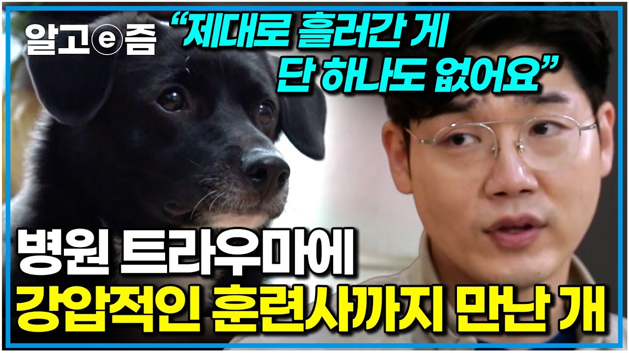 과거 병원에서 발톱 깎다가 피가 나고, 발버둥 치다 바닥에 떨어지기까지.. 그 후 부른 훈련사의 강압적인 훈련에 상황은 더 안 좋아지는데｜세상에 나쁜 개는 없다｜알고e즘
