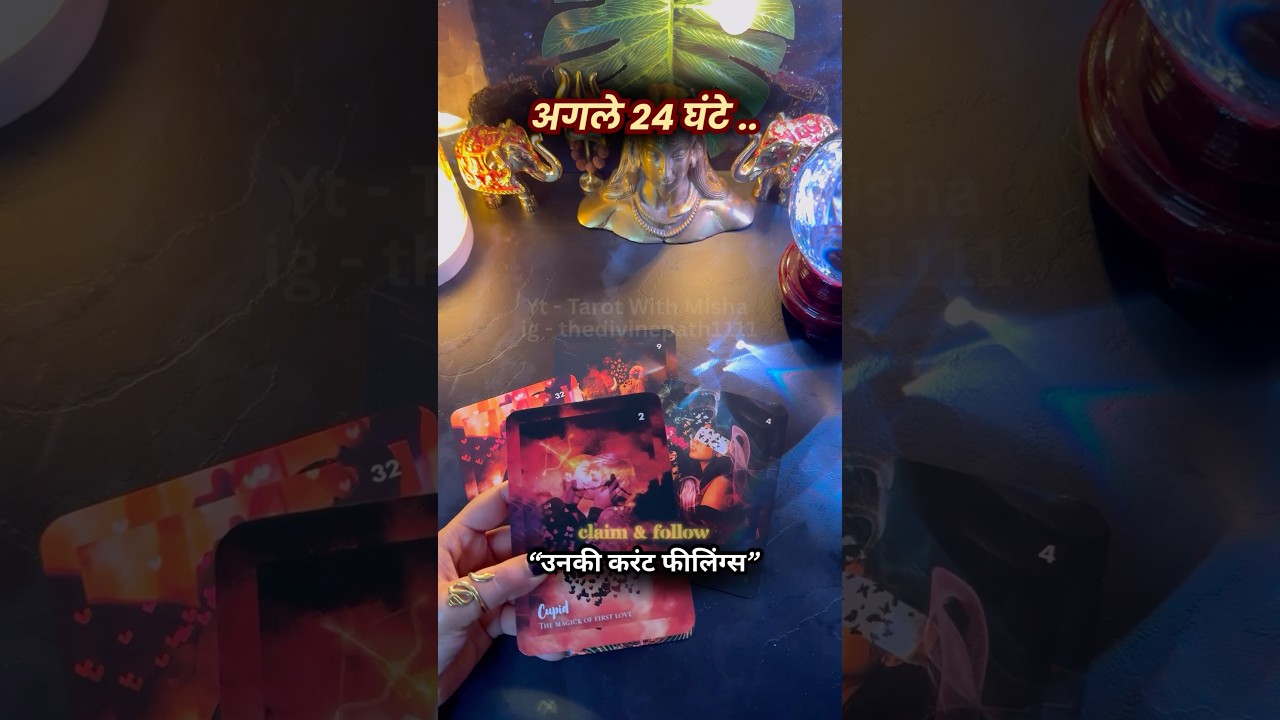 🌹अगले 24 घंटे-PERSON ON YOUR MIND #unkicurrentfeelings #next24hours #tarotwithmisha #hinditarot