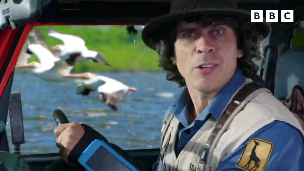 Aquatic Flocks! | Andy's Amazing Adventures