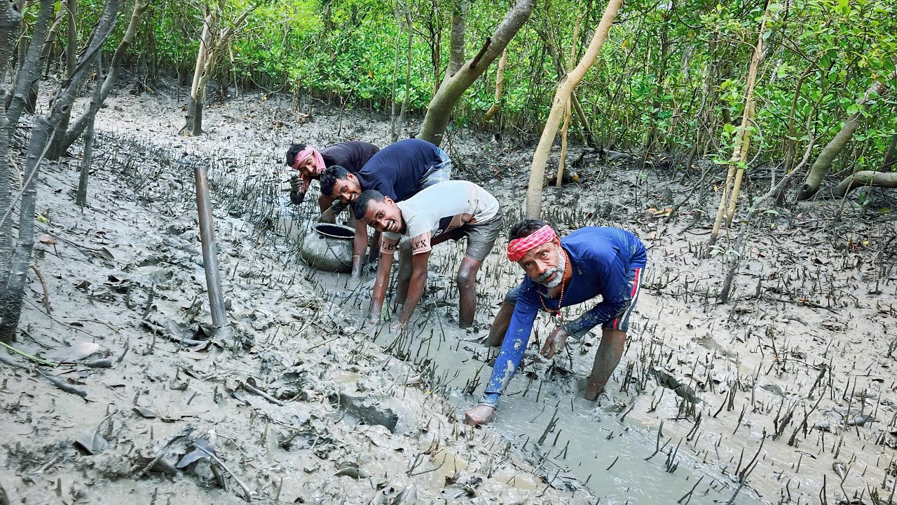 বহুদিন পর খাল ভেঙ্গে প্রচুর পারশে মাছ পেলাম