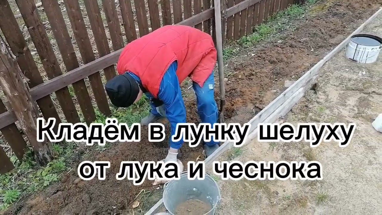 Садим картофель и многое другое.