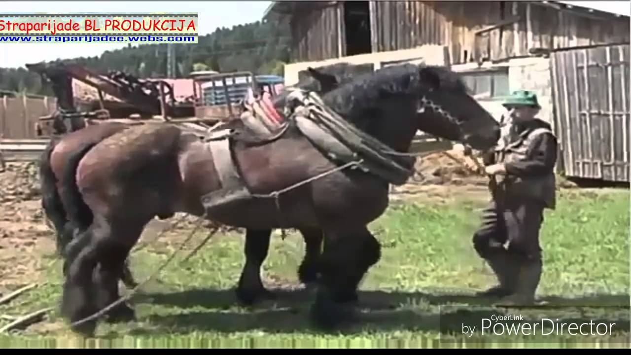 U POSJETI KOD NIKOLE I MILE LIZDEKA - RAVNA ROMANIJA 2015