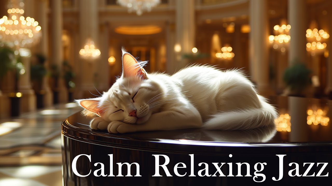 CALM RELAXING NEW JAZZ INSTRUMENTALS