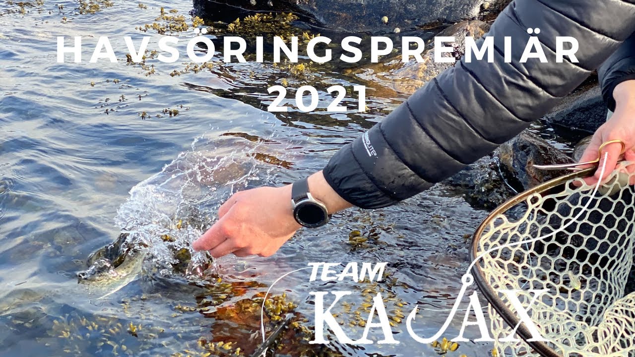 Havsöringspremiär på västkusten 2021 | Flugfiske 2021 | Team Kajax
