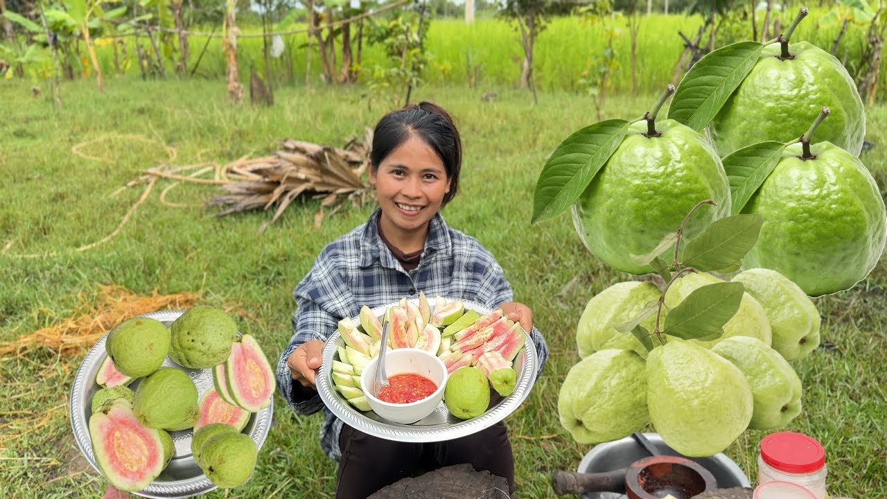 Let's Eat Guava with Spicy Sauce