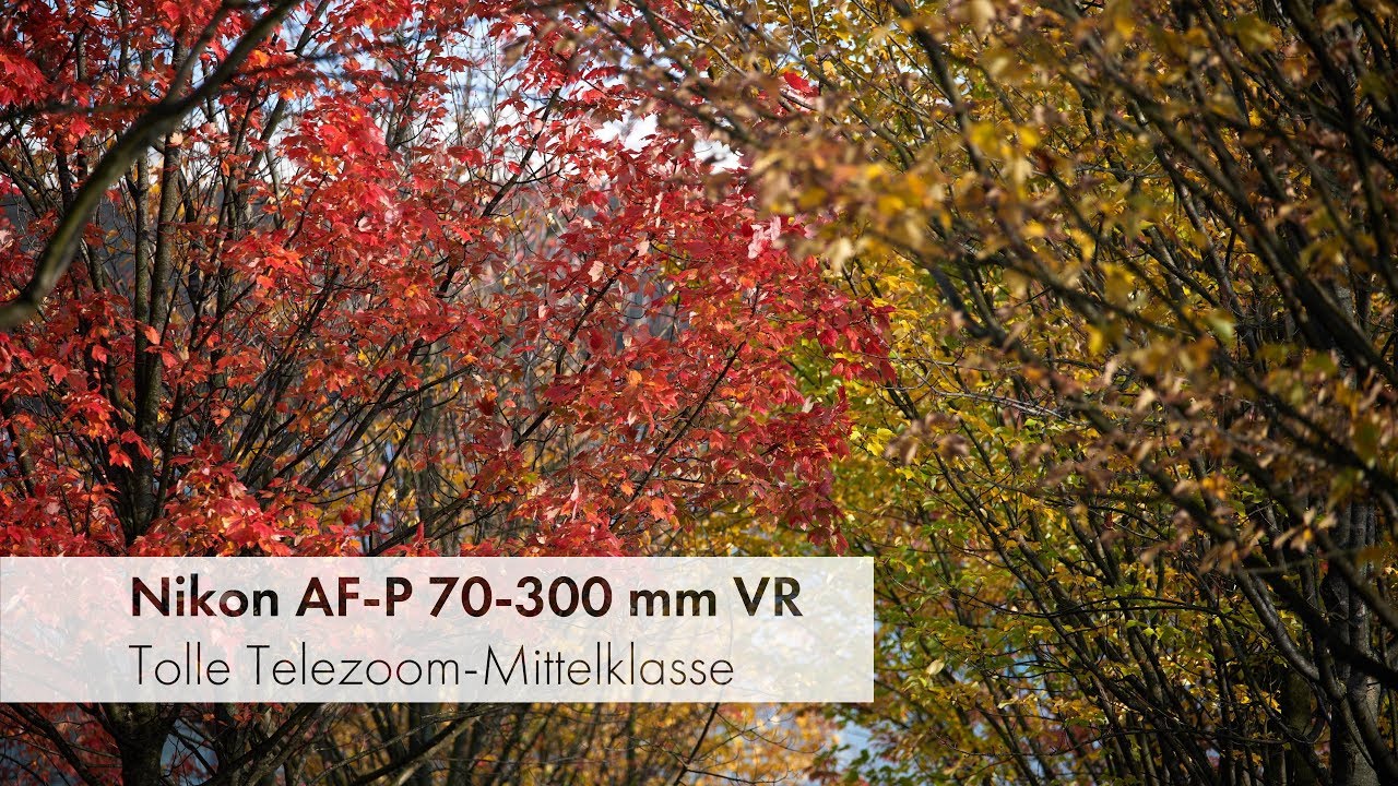 Nikon AF-P 70-300 mm ED VR | Telezoom-Mittelklasse fürs Vollformat im Test [Deutsch]