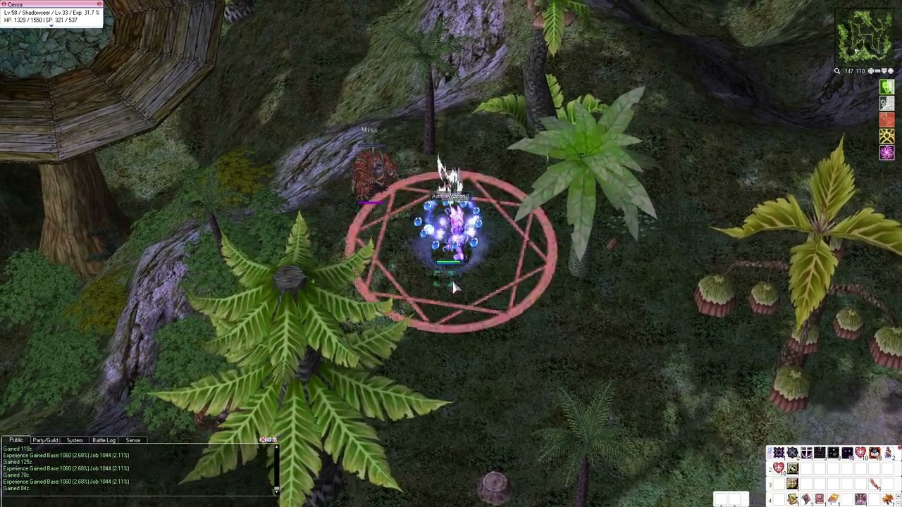 Return to Morroc - Shadowseer Leveling in Umbala Field