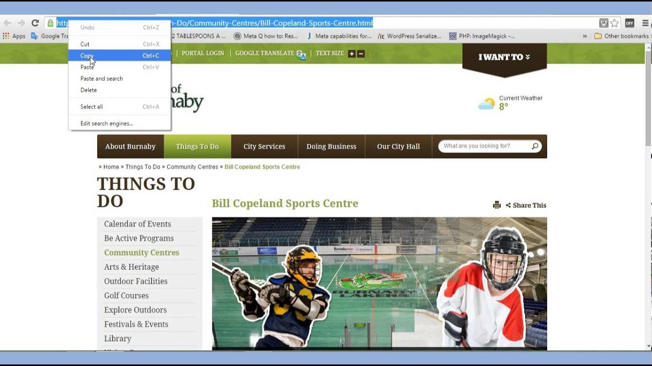 Embedding websites in wordpress