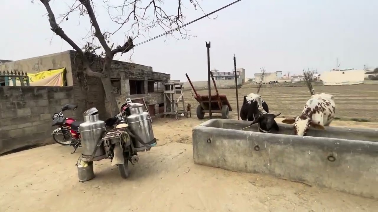 Village nurpur , Attock