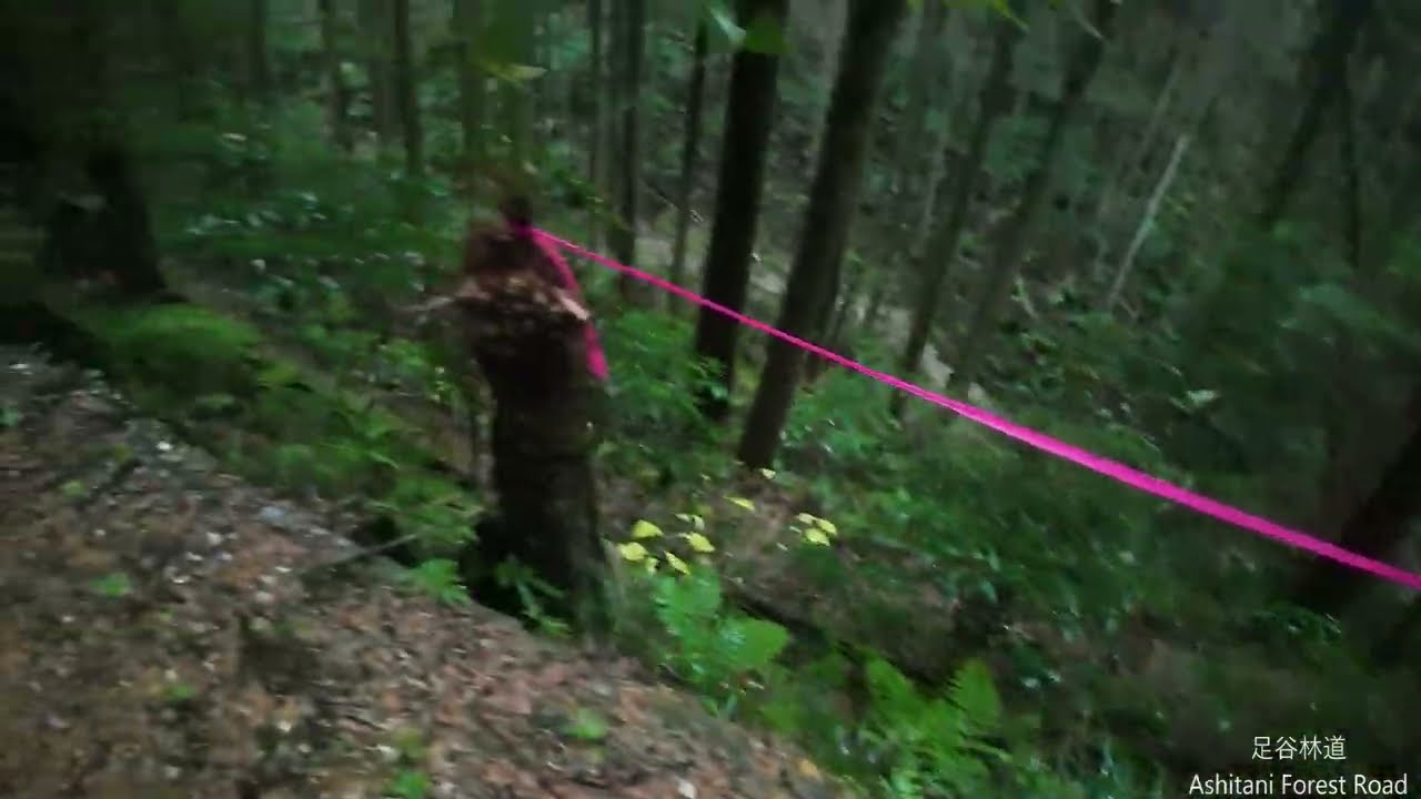 AS2ちょこっと登山・・足谷林道その２