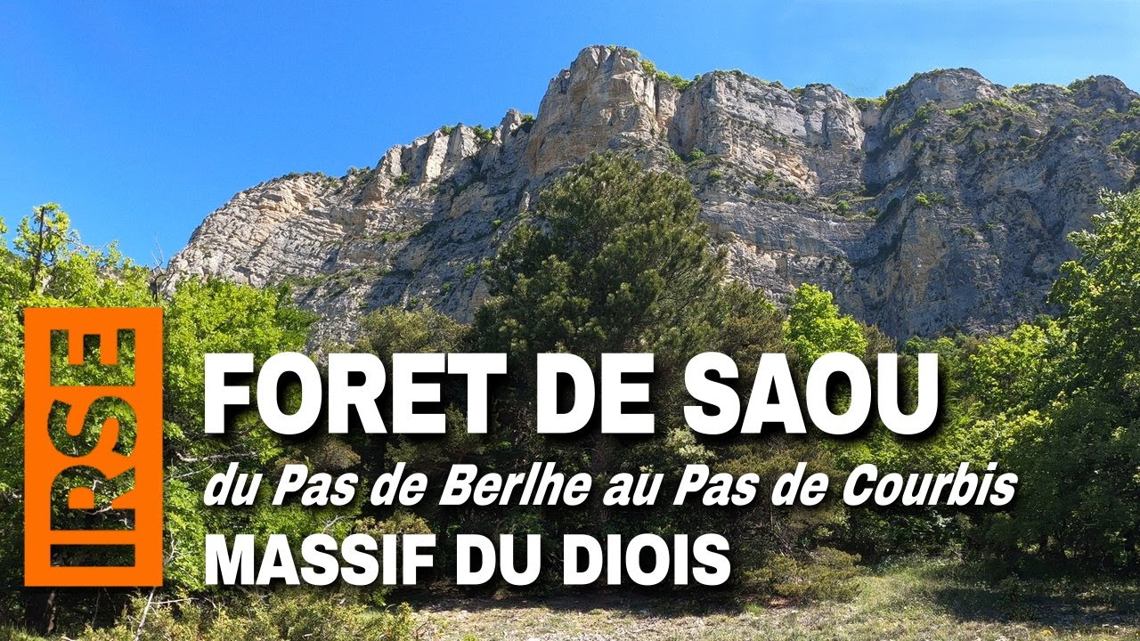 Forêt de Saou - Du PAS DE BERLHE au PAS DE COURBIS - Diois #trekking #mountains #nature