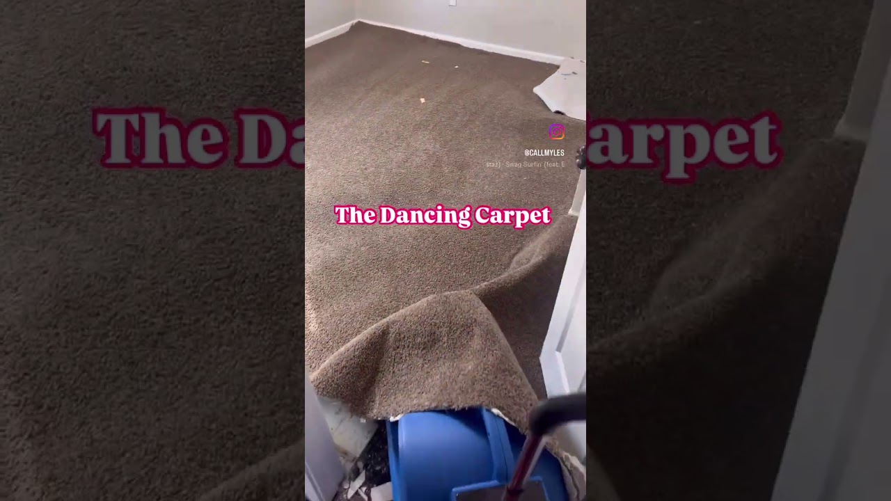 Drying carpet after flooding. Watch the carpet swag surf 