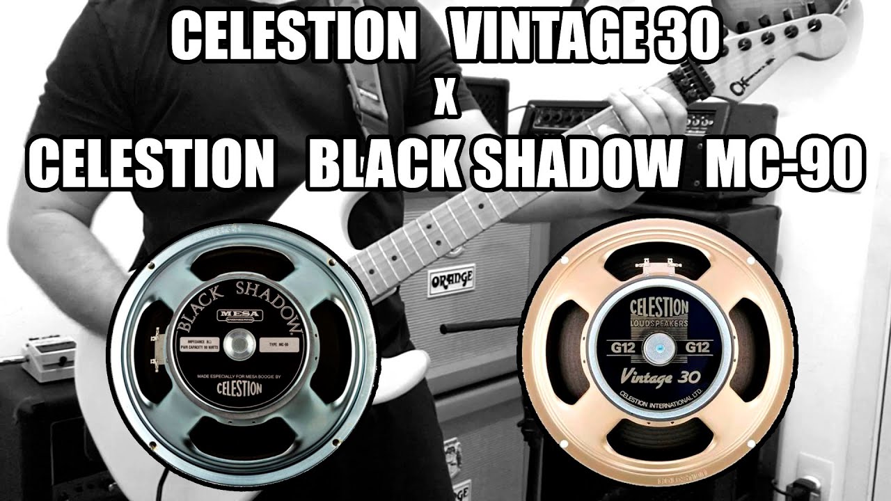 Celestion Vintage 30 x Celestion Black Shadow MC-90