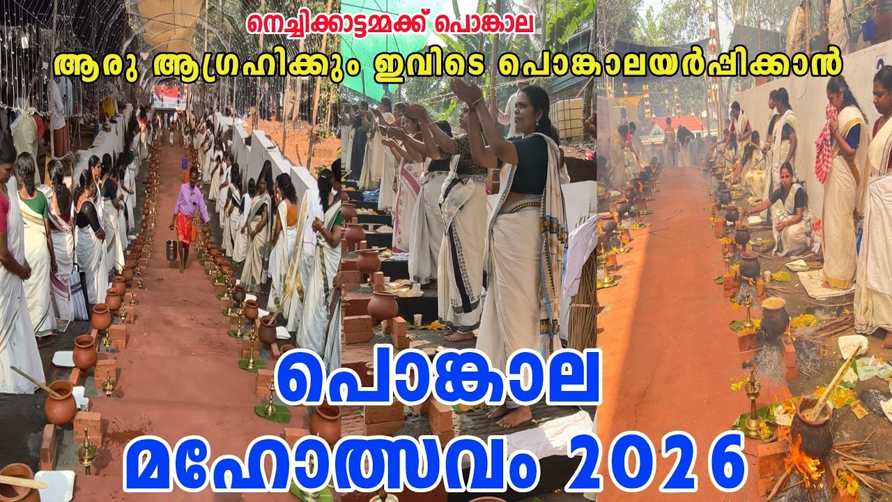 പൊങ്കാല പുണ്യം തേടി ആയിരങ്ങൾ.... 🙏Nechikattu sree bagavathi kshethram pongala mhothsavam 2026