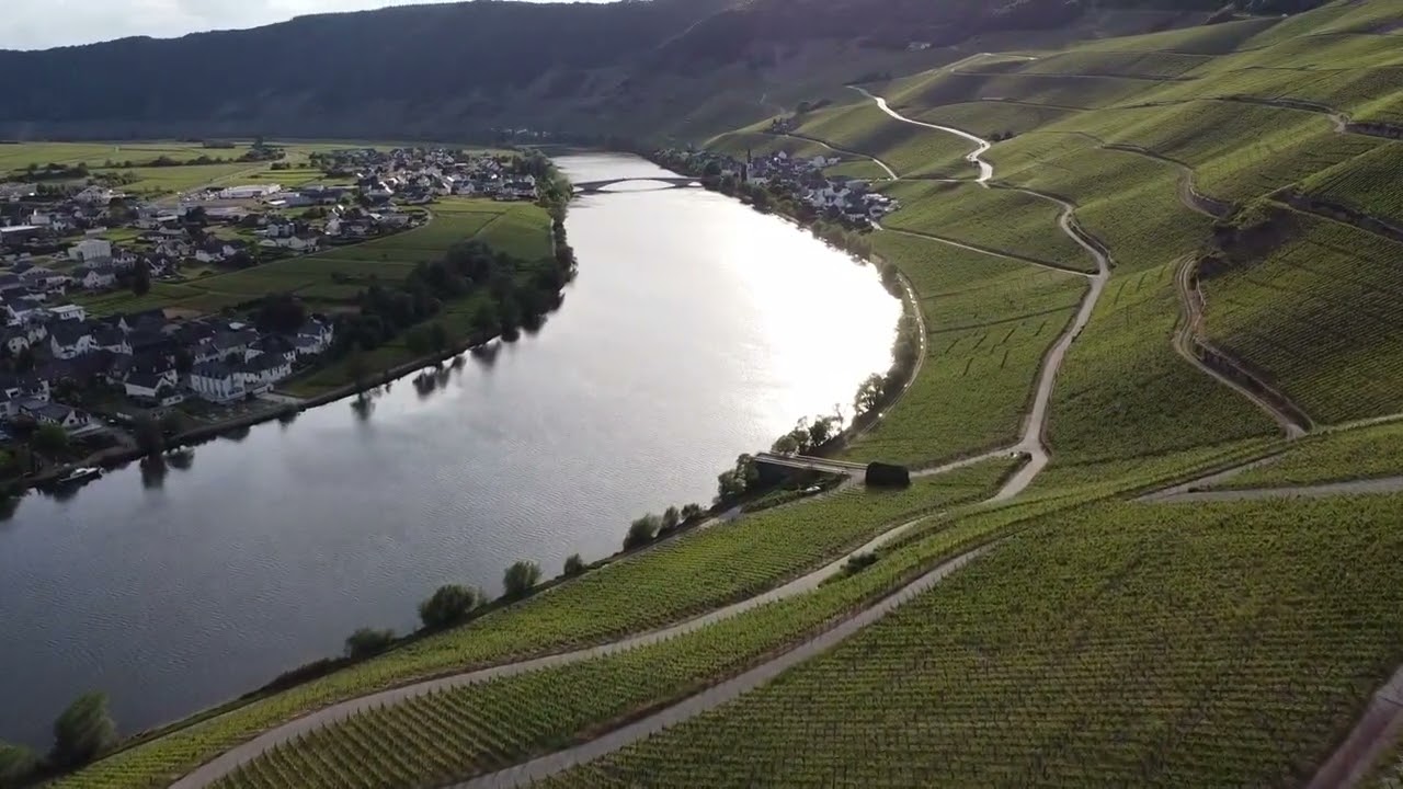 Piesport Mosel