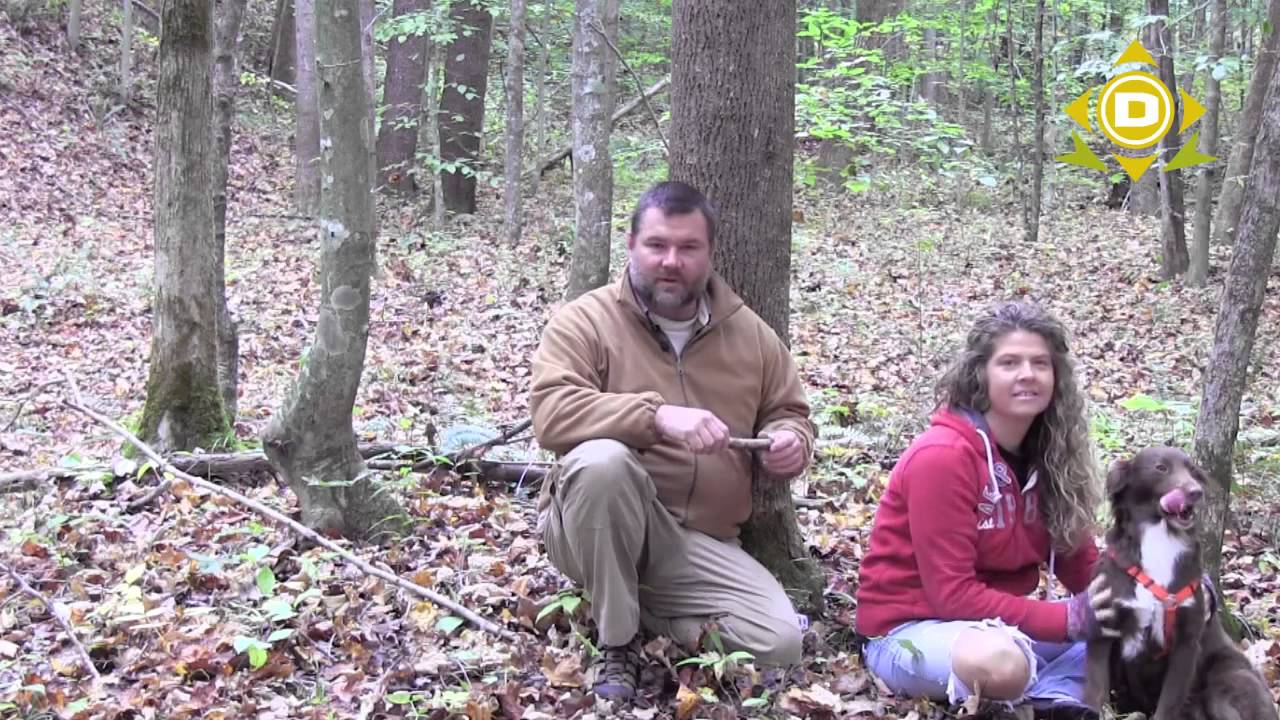 Pet Considerations In a Survival Situation