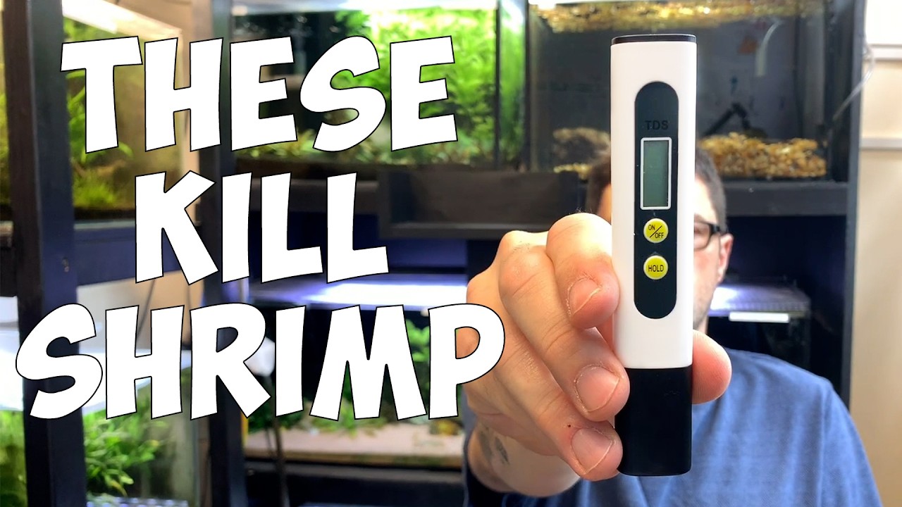 The DEADLY MISTAKE You’re Making with TDS Meters☠️ 🦐
