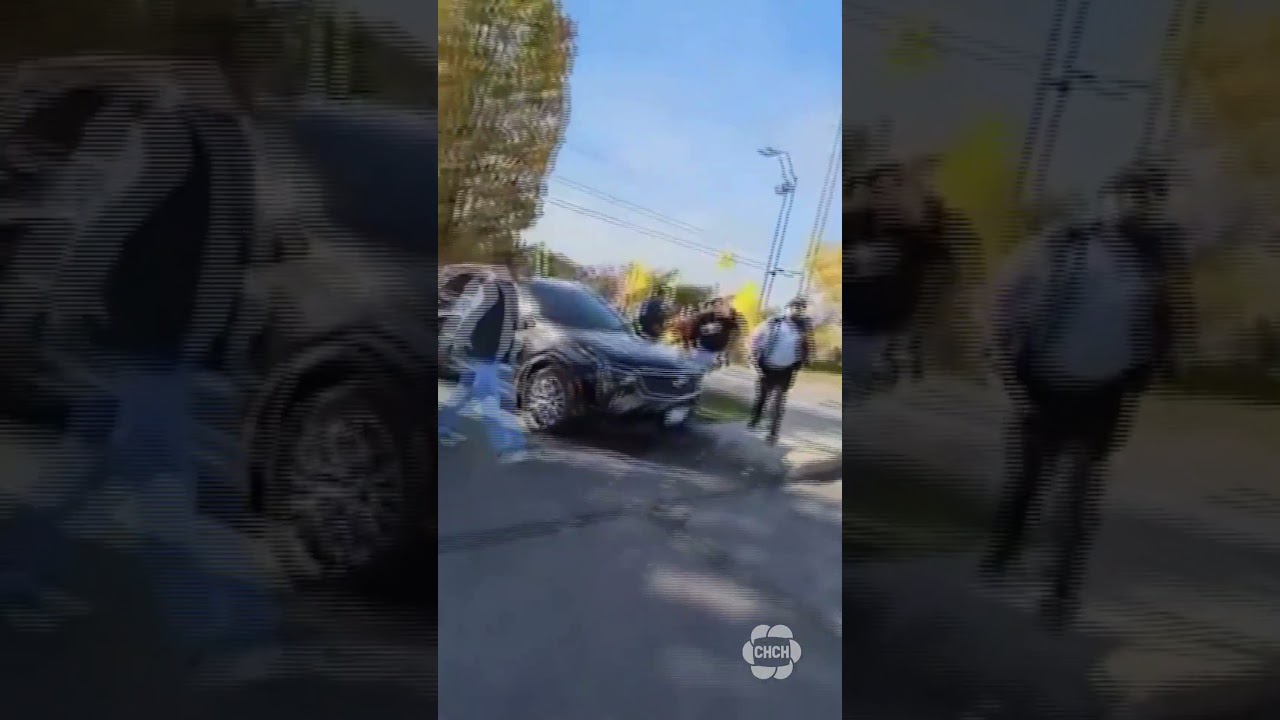 Three people charged after violence erupts at Hindu temple in Brampton: Peel police
