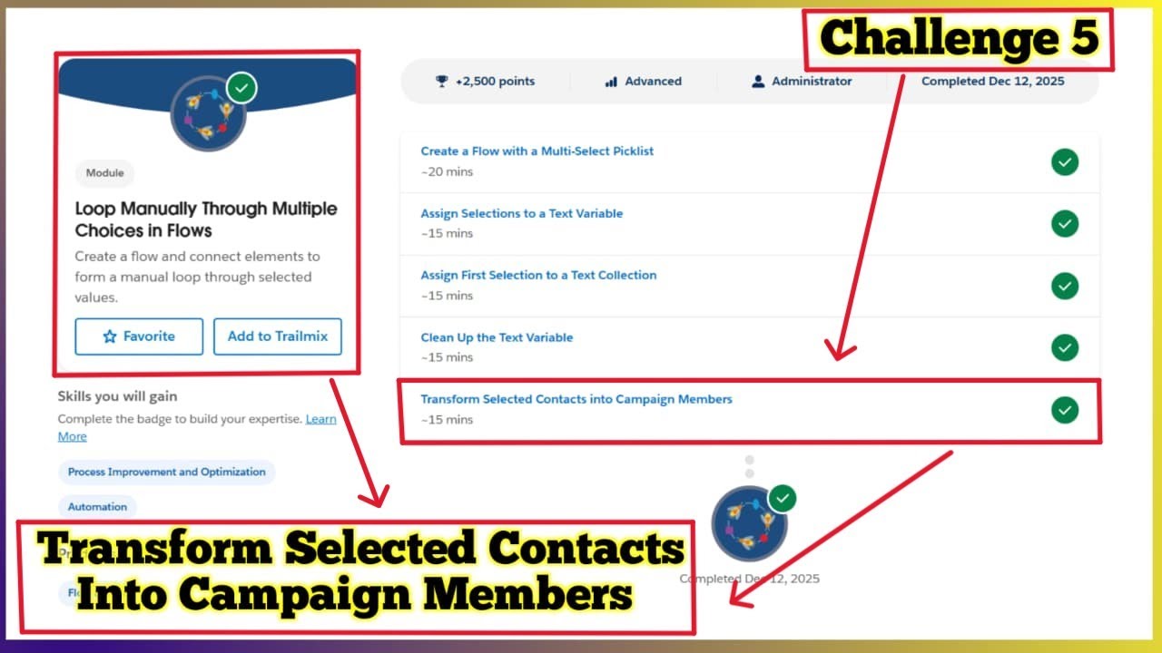 Transform Selected Contacts into Campaign Members | Loop Manually Through Multiple Choices in Flows