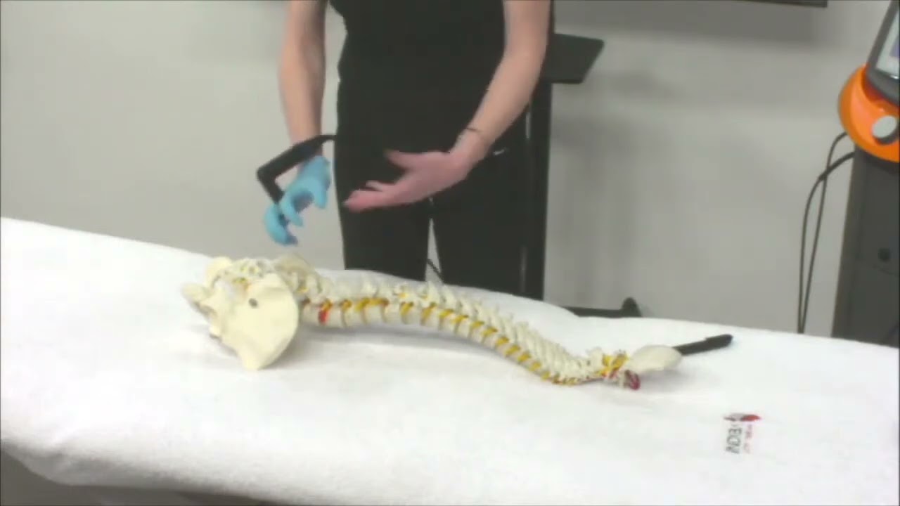 EN5 Application of INDIBA ACTIV in back pain    Dorsalgia and low back pain