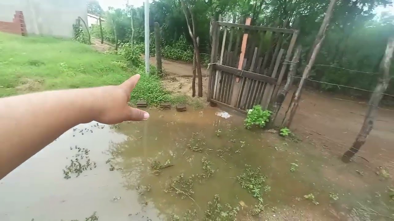 CHUVA CHEGA AO NORDESTE