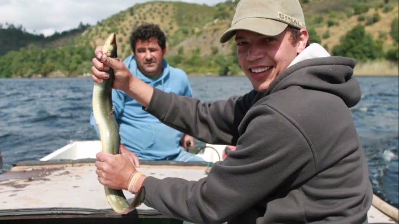 O SEGREDO DA PESCA DE ENGUIAS COM LINHAS DE ANZÓIS NO RIO TEJO PORTUGAL