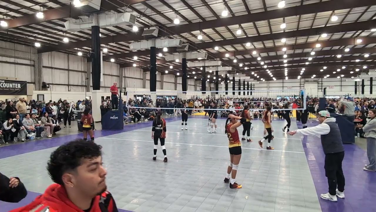 2026 No Dinx/NCVA Presidents Day 3: BAE 13:2 vs Panda 13-1