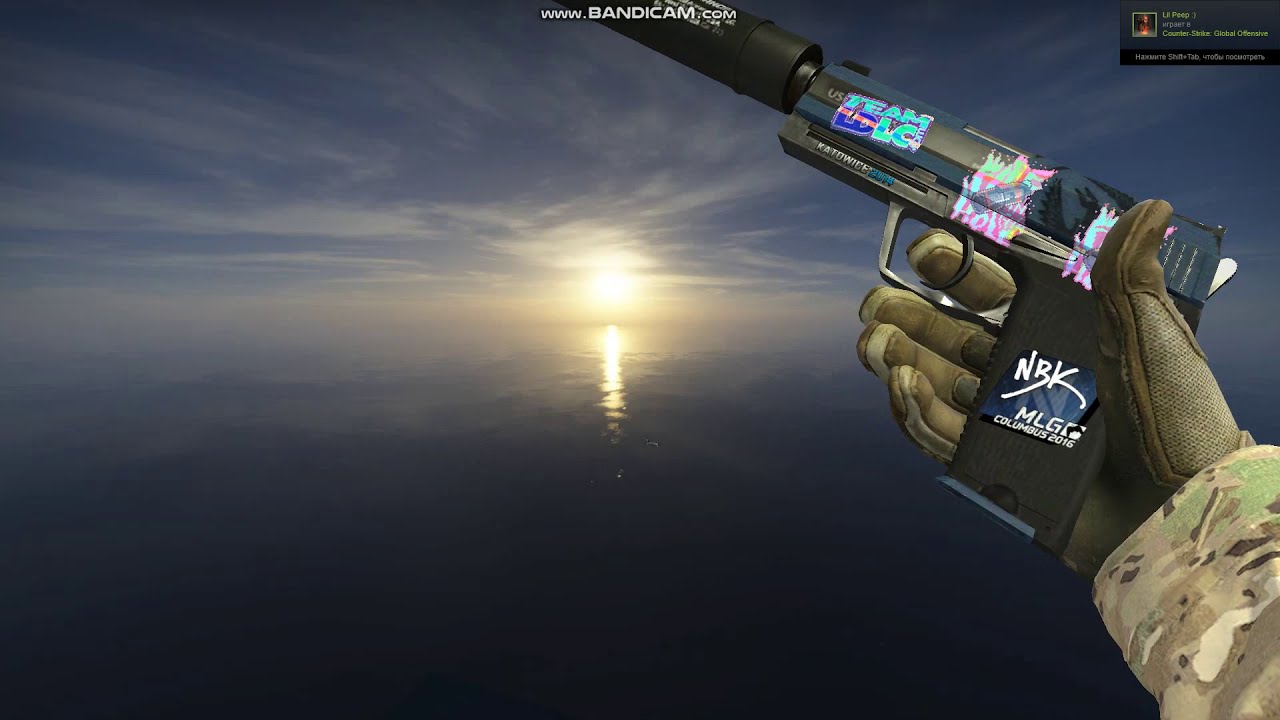 Мой Редкий USP-S | Страж с наклейкой Team LDLC.com (Holo) | Katowice 2014