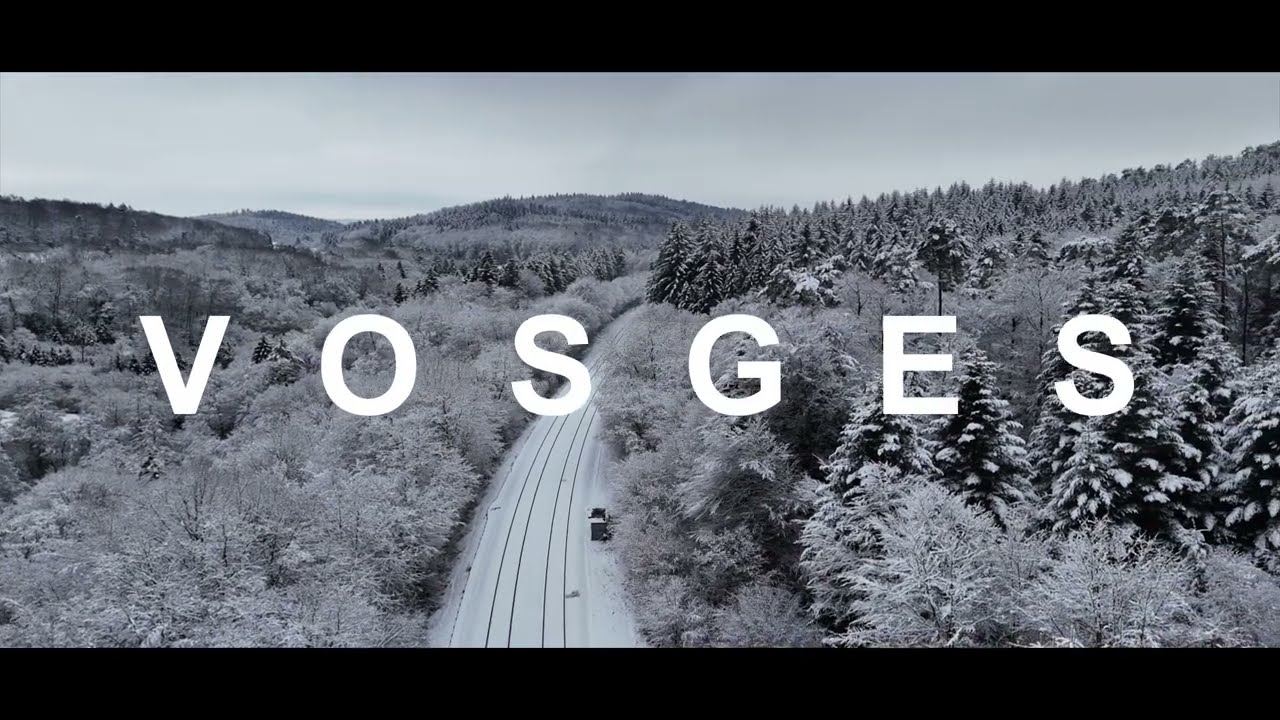 Une invitation au voyage au cœur de la forêt d’Épinal sous la neige.