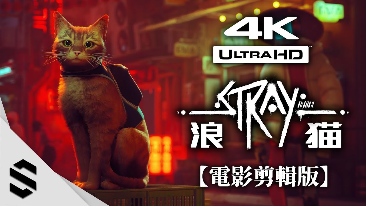 【浪貓：Stray】4K電影剪輯版 - 🐈可愛貓咪冒險之旅💕 - 無介面、主支線全解、電影式運鏡 - 迷失 - Semenix出品