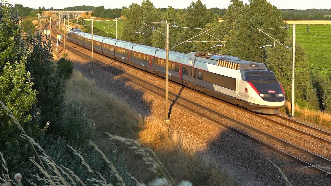 TGV Sud-Est collection