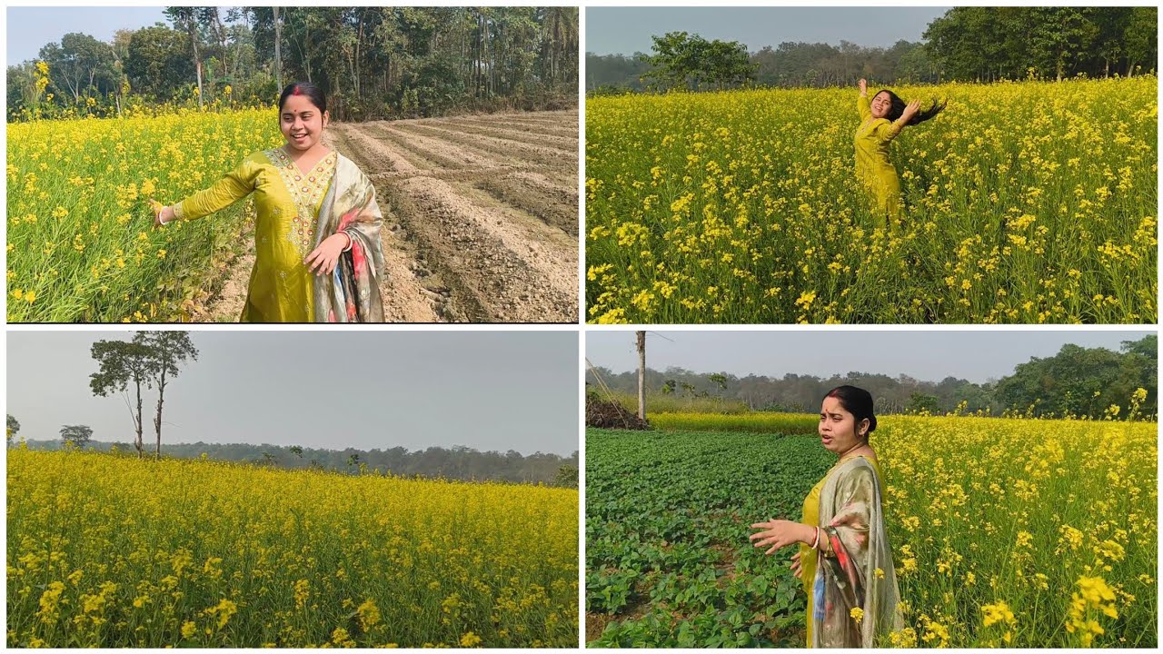 শীতের দুপুরে চলে গেলাম সরষে ক্ষেতে যতদূর চোখ যাচ্ছে শুধু সরষের ক্ষেত হলুদ ফুলের স্বর্গ ||